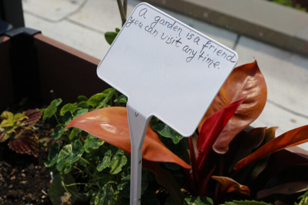The Garden Club at The Selfhelp Home Senior Living Community